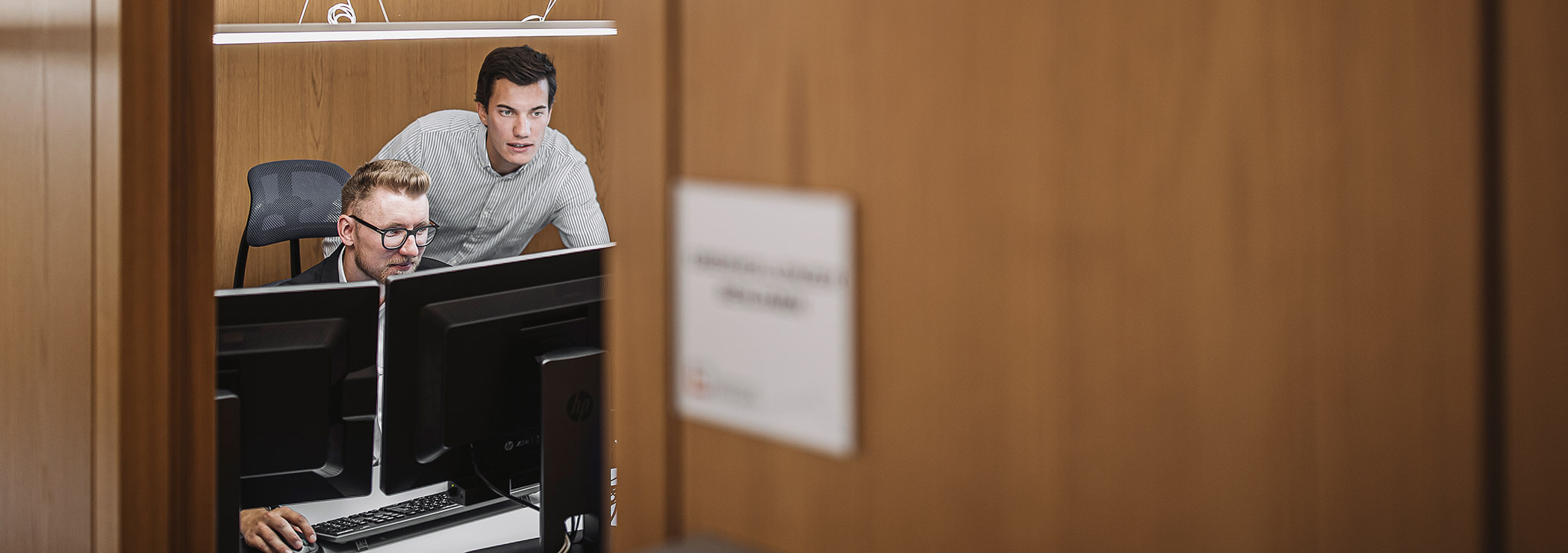 Due uomini che guardano uno schermo e lavorano - Elaborazione dati Steger